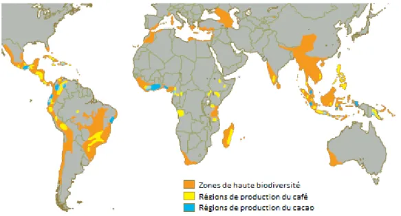 Figure 1.1 Les zones de haute biodiversité et les régions de production du café  Source : Hardner et Rice (2002), p.90
