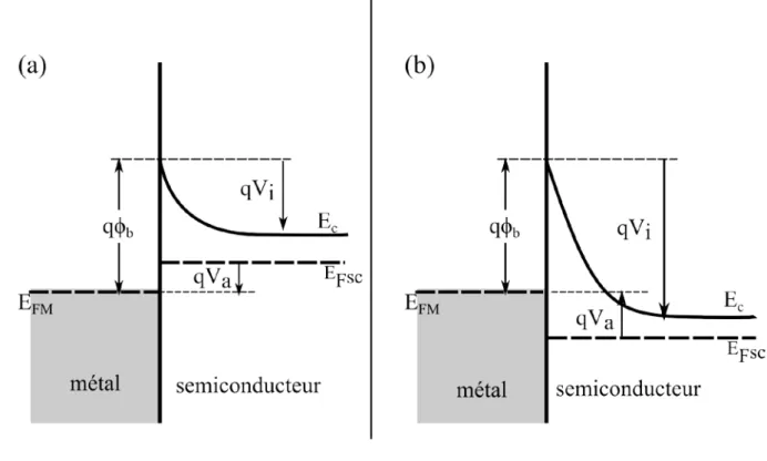 Figure I.3. Diagramme d’énergie de la structure diode Schottky (a) : polarisation directe,  (b) : polarisation inverse 