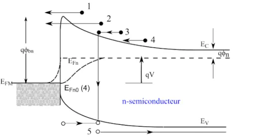 Figure I.4. Mécanismes de transport des courants existants dans le contact Schottky  polarisé avec une tension positive : (1) émission thermoïonique, (2) effet tunnel, (3) 