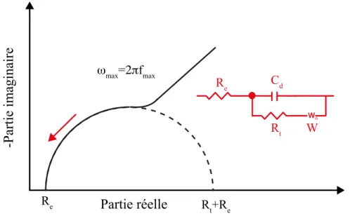 Figure II.5: Diagramme d’impédance électrochimique dans le cas d’une cinétique de diffusion   à couche infinie