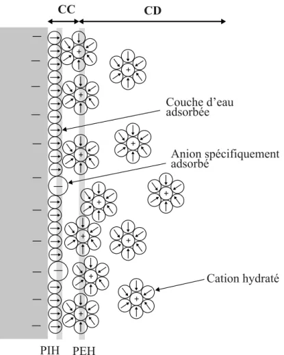 Figure II.8: : Distribution des espèces à l’interface solide-électrolyte selon le modèle de Gouy- Gouy-Chapman-Stern 