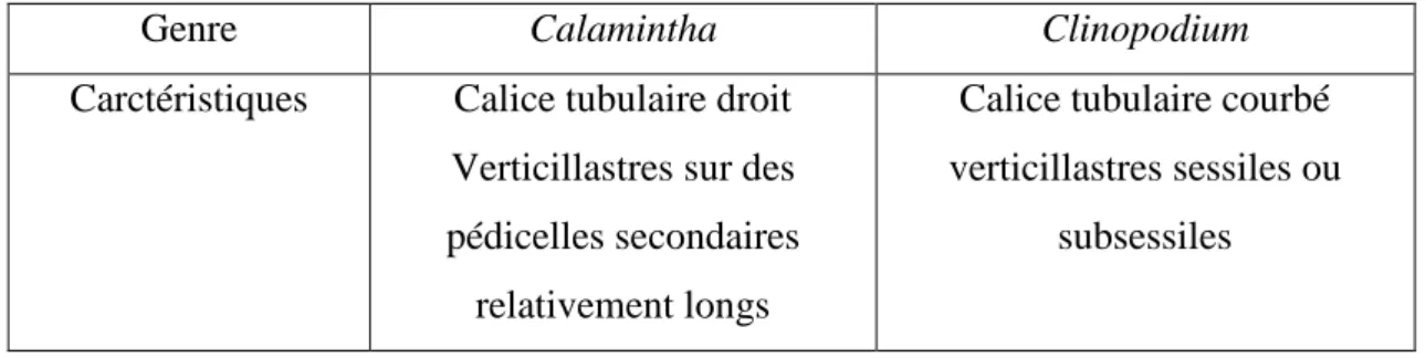 Tableau 7 : Principales différence entre le genre Calamintha Miller et le Clinopodium L