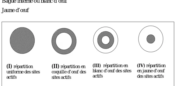 Figure 5 : les quatre types extrême de distributions du métal sur support  