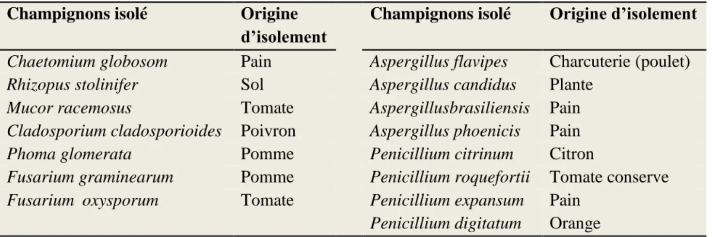 Tableau 9. Les champignons isolés et leurs origines d’isolement  Champignons isolé Origine 