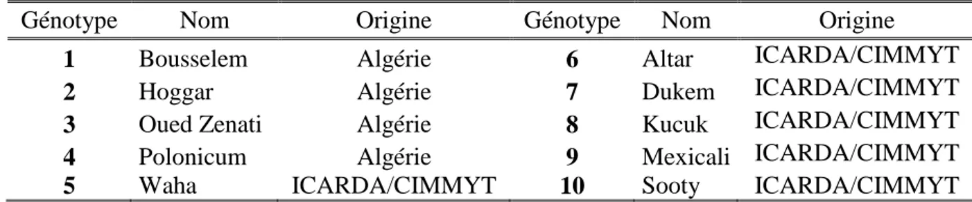 Tableau II.1 : Nom et origine du matériel végétal utilisé dans l‟expérimentation 