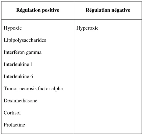 Tableau 4 : Facteurs régulant l'expression du gène de la XOR (Berry et Hare, 2004). 