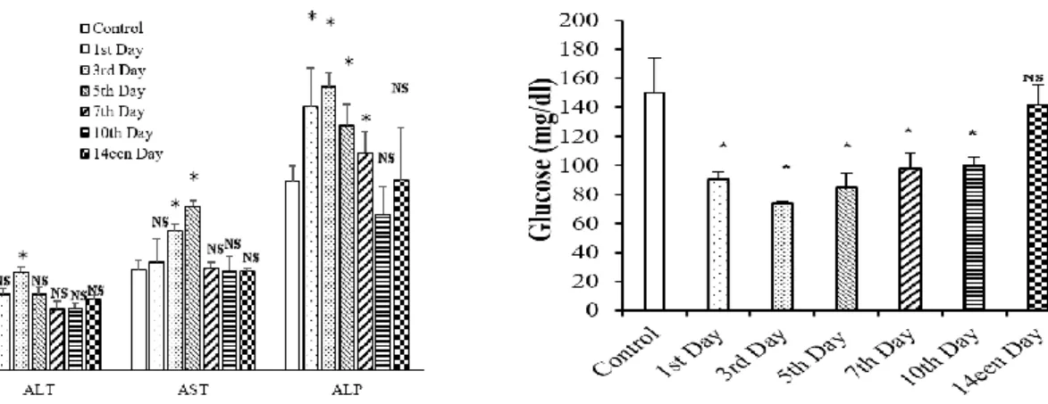 Figure  5 :  Effect  of  acute  administration  of  fruit  CCT  methanolic  extract  (440mg/kg)  on  glucose  level  in  male  rats