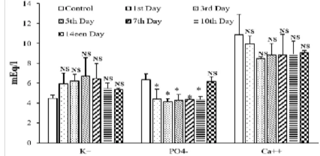 Figure  8b:  Effect  of  acute  administration  of  fruit  CCT  methanolic extract (440mg/kg) on some electrolyte's level in  male rats