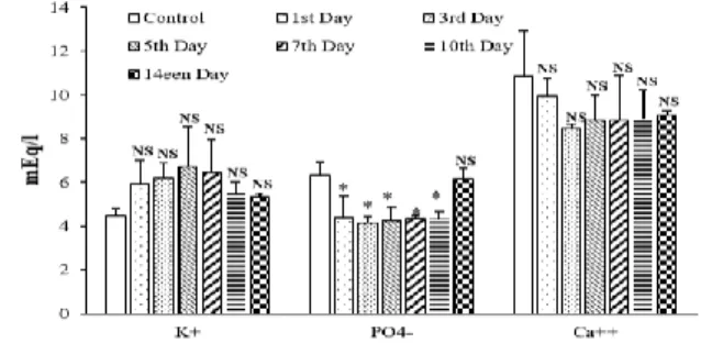 Figure  8b:  Effect  of  acute  administration  of  fruit  CCT  methanolic extract (440mg/kg) on some electrolyte's level in  male rats