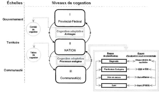 Figure  1.5.  Le système d'évaluation environnementale 