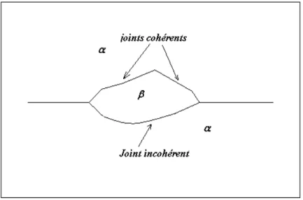 Figure 1. 8  : Germe de phase β présentant des interfaces cohérentes et des interfaces  incohérentes [Boua 00] 