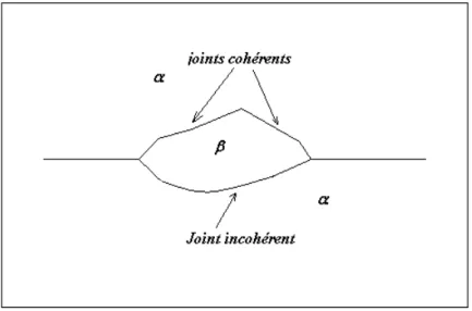 Figure 1. 8  : Germe de phase β présentant des interfaces cohérentes et des interfaces  incohérentes [Boua 00] 