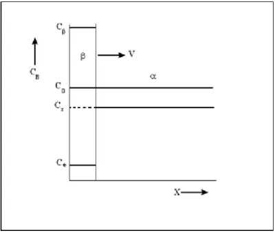 Figure  2.1 : Croissance contrôlée par la capture à l’interface. La concentration        des atomes B dans la matrice non transformée est uniforme