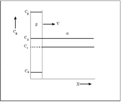 Figure  2.1 : Croissance contrôlée par la capture à l’interface. La concentration        des atomes B dans la matrice non transformée est uniforme