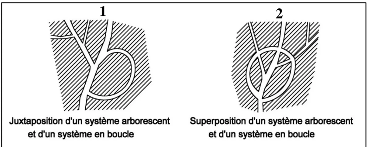 Fig. 15 : Juxtaposition et superp osition de deux systèmes différents .  Source : Borie (1984) 