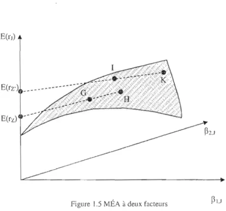 Figure  1.5  MÉA  à  deux  facteurs  ~l,J