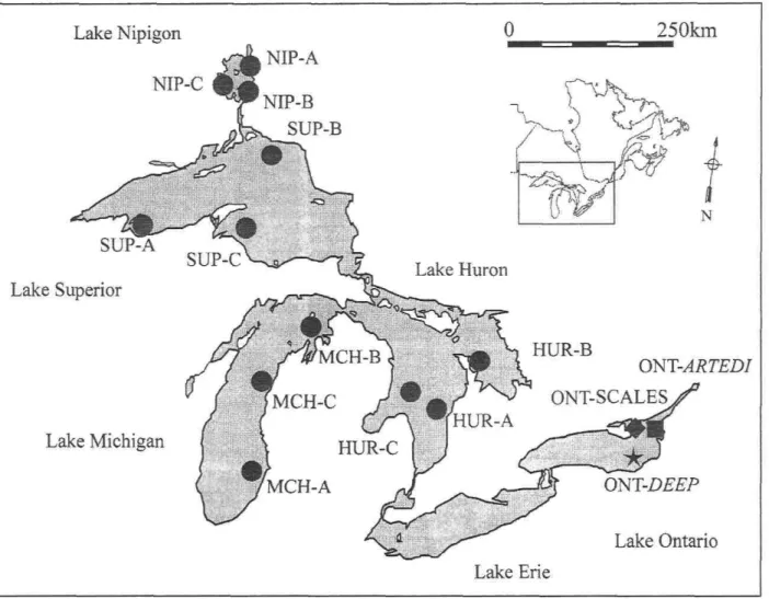 Figure 1: Sampling locations for C. hoyi in Potential Donor Lakes  ( • ) and for ciscoes in Lake Ontario  ( • : contemporary and historical scale samples of C