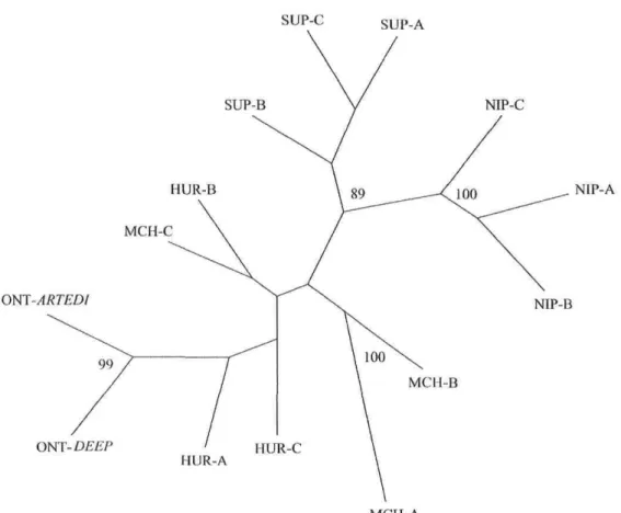 Figure 3: Unrooted DcE-based neighbor-joining phenogram relating ail samples from Potential Donor Lakes and Lake Ontario ciscoes (ONT-ARTEDI: récent sample of C