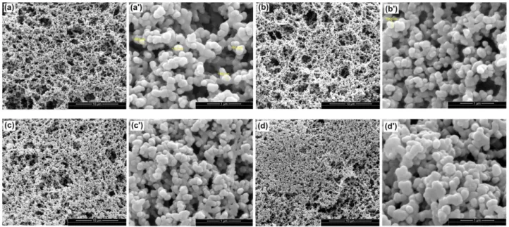 Figure 3. SEM images of PPy layer deposited on the Si/SiO 2 /Si 3 N 4 substrates-treated with SPy at different molar concentrations at 90  C: (a, a ’) 4.3 mM, (b, b’) 21.5 mM, (c, c ’) 43 mM, and (d, d’) 107.5 mM.