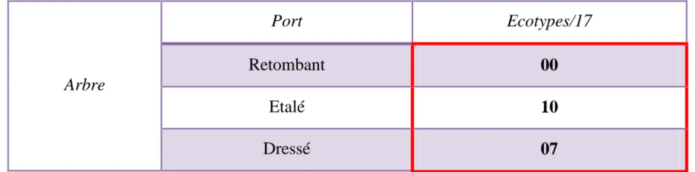Tableau n°15: Dénombrement des écotypes selon la nature du port de l'arbre 