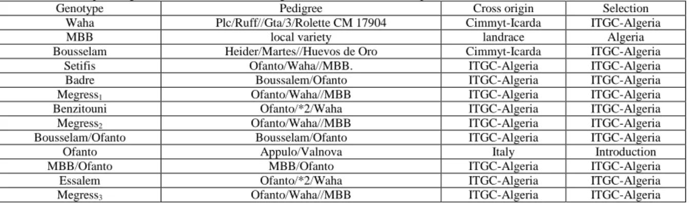 Table 1: Name and parentage of the durum wheat breeding lines and cultivars used as plant material