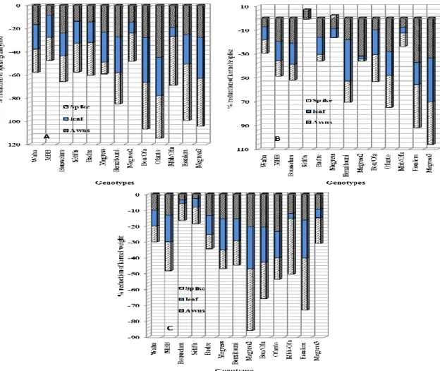 Fig. 1: Variation, among genotypes, of the reduction (%) of spike grain yield (A), kernels/spike (B) and kernel       weight (C) caused by the removal-shading treatments