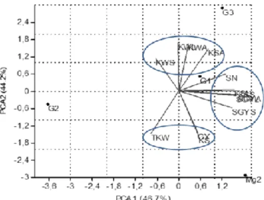 Fig.  2:  Principal  component  analysis  projections  on  axes  1  and  2  (GY  =  grain  yield  g/m²,  SN  =  number  of  spikes  /m²,  KS=  kernels/spike,  TKW  =  thousand-kernel  weight,  SGYA,  SGYL,  SGYS  =  spike  grain  yield declines induced by 