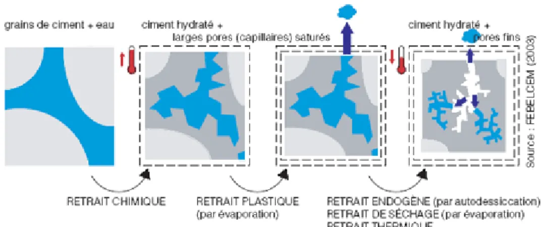 Figure  II. 8. Principaux types de retrait du béton 