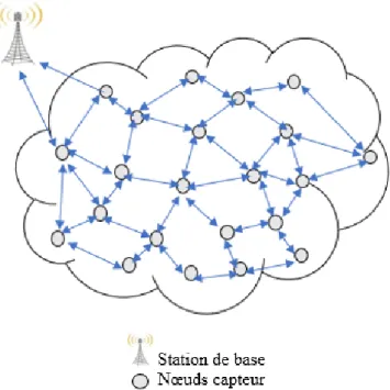 Figure 1.3  Topologie plate d'un RCSF.