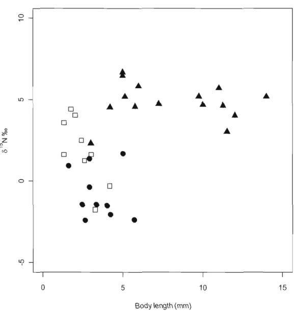 Figure 2.3.  Species mean  Û l5 N  (%0)  as  a function of body  length  (mm). 