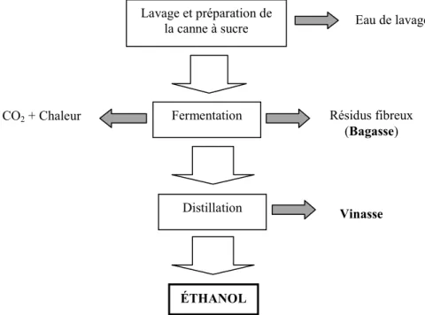 Figure 2.3  Processus industriel de production de l’éthanol  Inspiré de : Zuurbier, P