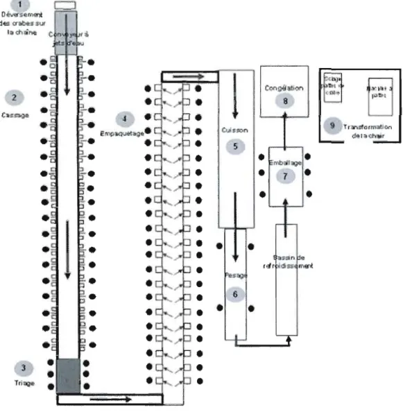 Figure 5.1  Étapes du  procédé industriel et postes de l'usine de Terre-Neuve (vue  de haut,  nombre réel  de postes, dimensions  non  à  l'échelle)