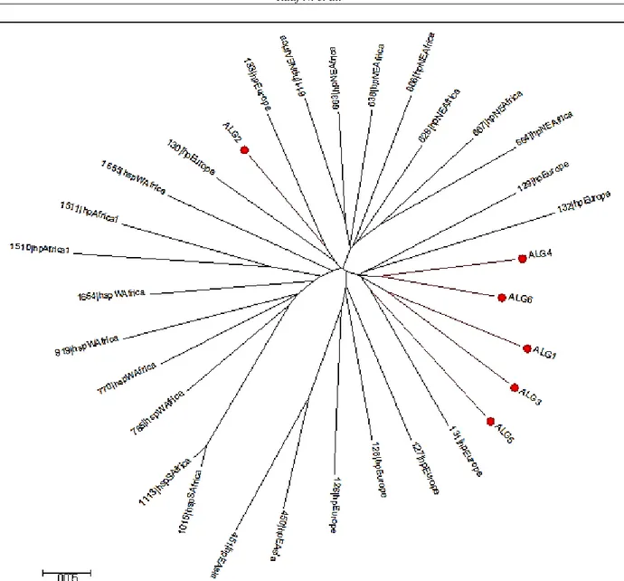 Figure  1.  MLST  analysis  of  6  Algerian  strains  of  H.  pylori  (ALG)  with  25  reference  strains