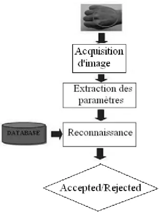 Figure 4: schéma du système de Reconnaissance des veines 