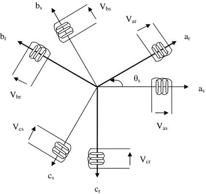 Figure 1.4. Représentation des enroulements de  l a ma c hi ne a s ync hr one t r i pha s é e da ns l ’ e s pa c e électrique.