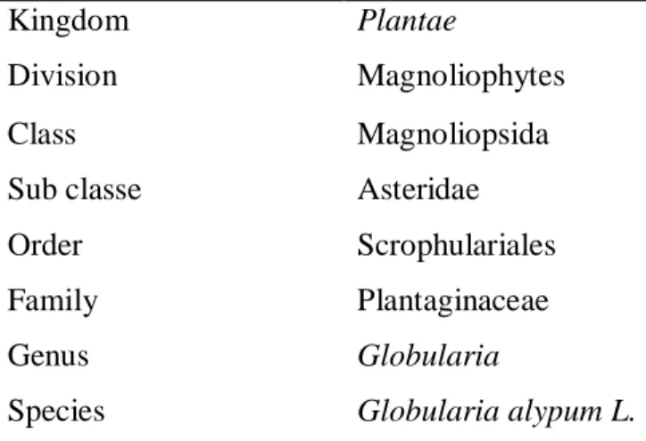 Table 4: Botanical classification of Globularia alypum (Albach et al., 2005; Boutiti et al., 2008) 