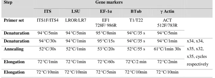 Table 5: Detailed PCR programs for the used marker genes amplification (ITS, LSU, EF-1α, Tub and  Actin)