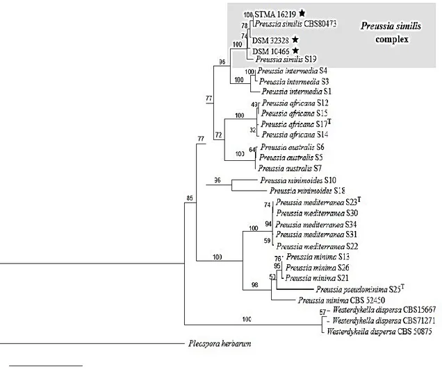 Figure 18: Phylogenetic tree of  Preussia spp. based on  combined data set of four markers