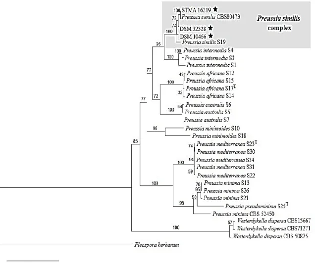 Figure 18: Phylogenetic tree of  Preussia spp. based on  combined data set of four markers