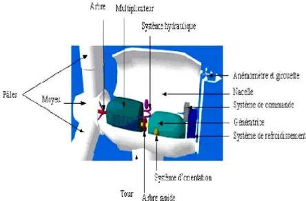 Figure  1.7. Conversion de l'énergie cinétique du vent fondamentaux d'une éolienne : 