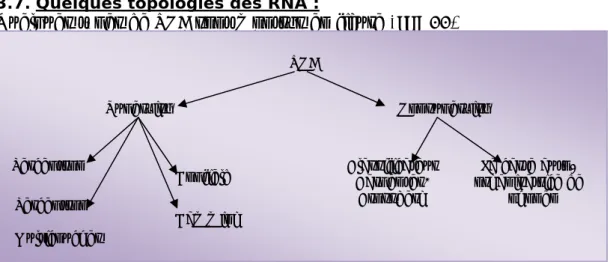 Figure  0:11: Quelques types de RNAs. 