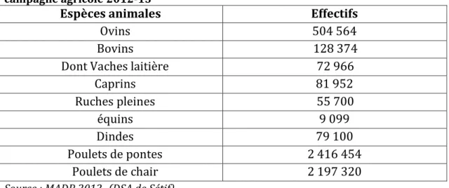 Tableau 2.3 : Effectif du cheptel animal élevé dans la wilaya de Sétif pendant la  campagne agricole 2012-13 