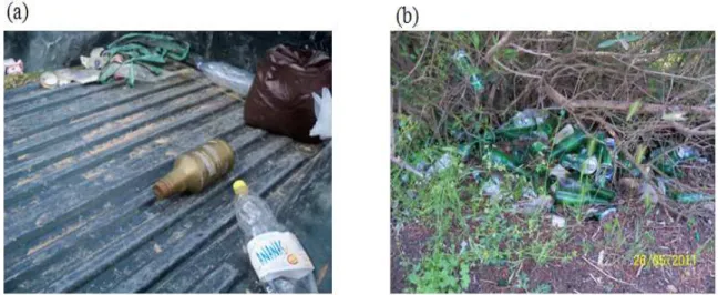 Figure 1. Pollution à l'intérieur de la forêt de Bou-Taleb. (a) Ramassage des déchets lors  de nos sorties