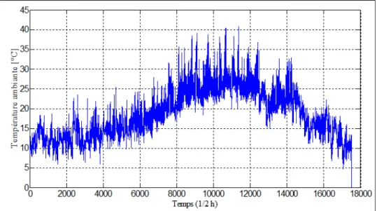Figure 2. 6 : Température ambiante du site pour un an de mesure. 