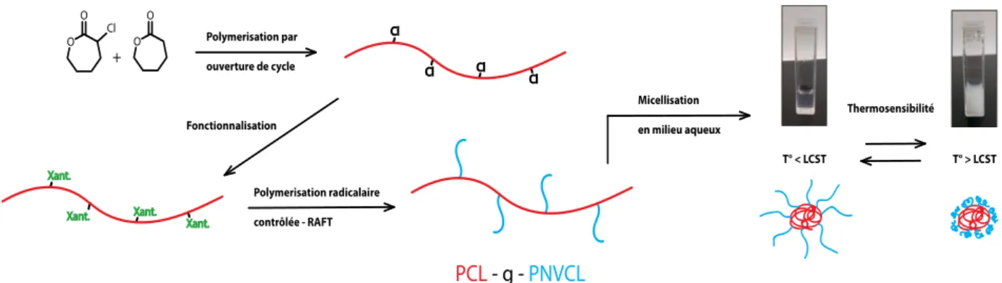 Figure 1 - Synthèse de copolymères stimulables  Références 