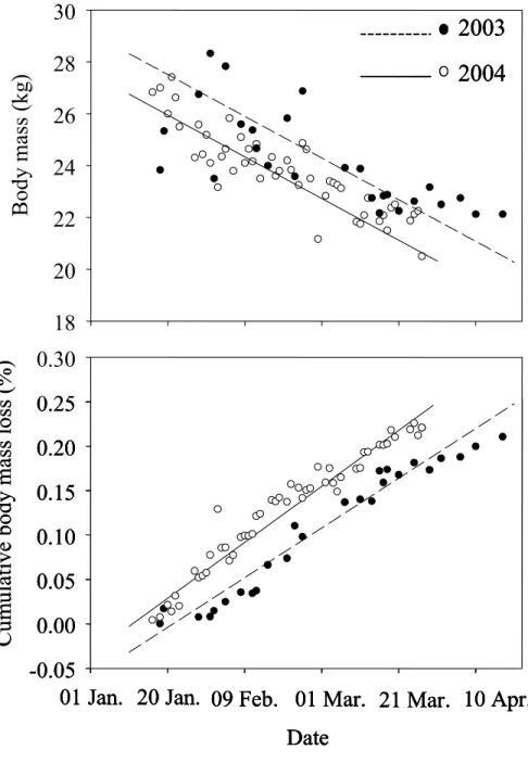 Figure 4: Body mass and percentage of cumulative body mass loss during the winters of  2003 and 2004 for captive white-tailed deer fawns on Anticosti Island, Québec, Canada