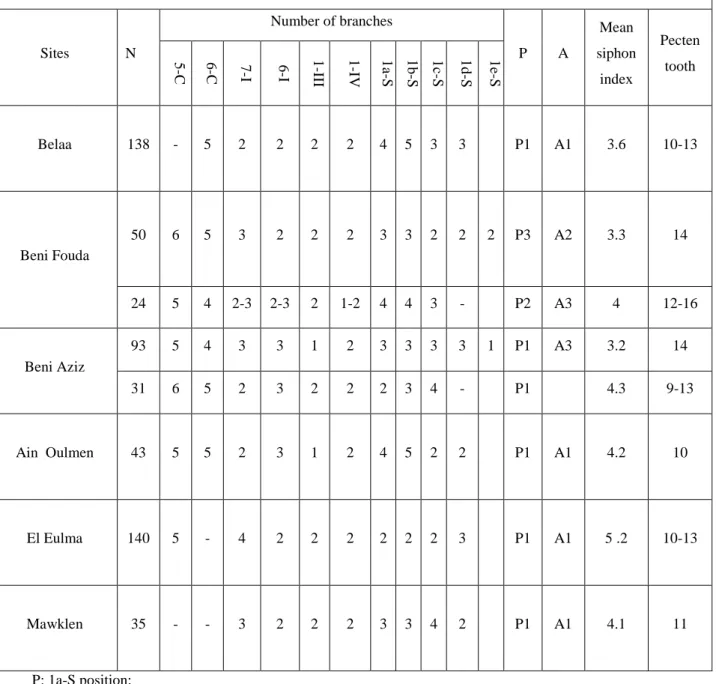 Table  ‎ 2.1. Morphological characteristics of Culex pipiens s.l populations sampled from Setif  region Sites   N  Number of branches  P  A  Mean  siphon  index  Pecten tooth 