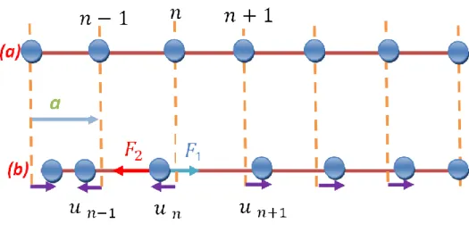 Figure IV.1: Cristal unidimensionnel monoatomique. Les positions atomiques en équilibre  (a) et les déplacements instantanés (b)