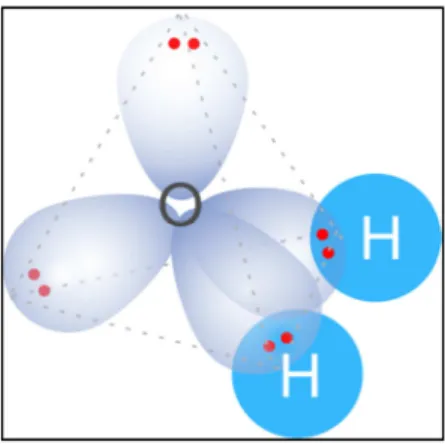 Figure II.4 : La molécule d’eau possède 4 orbitales hybrides de type sp 3 