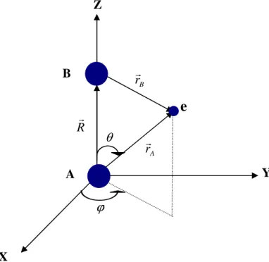 Figure 2.2 : L’ion moléculaire H + 2 . 